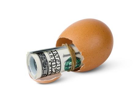 036293491-egg-money-compressed.jpeg